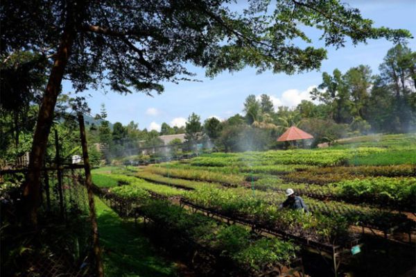 Jaga Iklim Investasi di Bumi Nikel