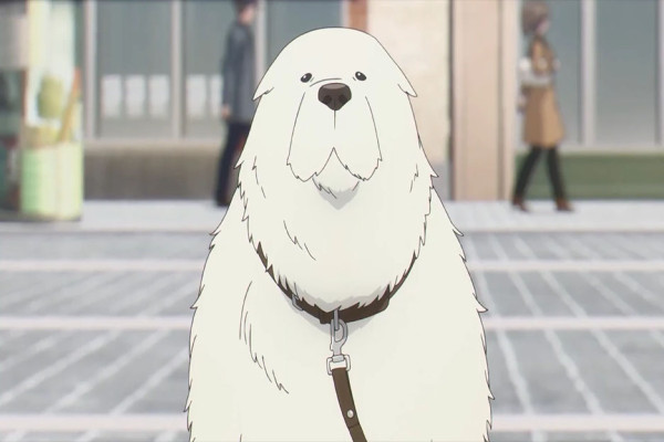 10 Karakter Paling Keren di Serial Anime Spy x Family