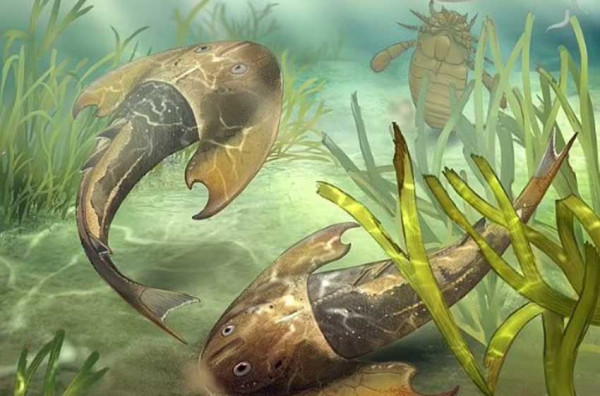 Fosil Ikan Lapis Baja Berusia 439 Juta Tahun Ditemukan di China, Dianggap Nenek Moyang Hiu Modern