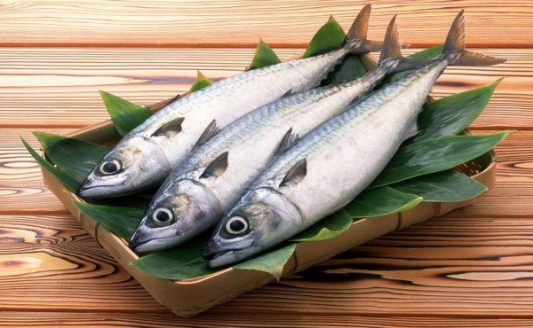5 Jenis Ikan Penurun Kolesterol, Nomor Terakhir Harganya Murah