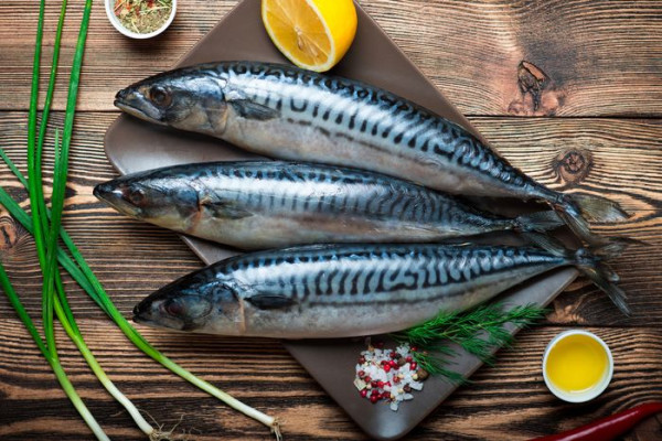5 Jenis Ikan Penurun Kolesterol, Nomor Terakhir Harganya Murah