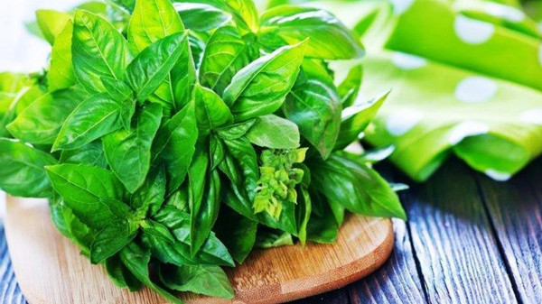 5 Sayur Lalapan Penurun Kolesterol, Murah Meriah dan Segar Rasanya