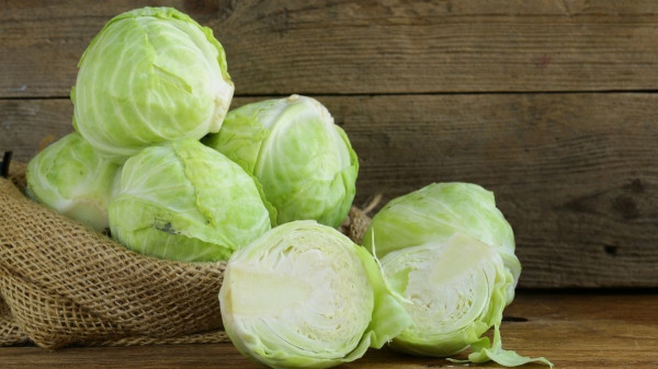 5 Sayur Lalapan Penurun Kolesterol, Murah Meriah dan Segar Rasanya