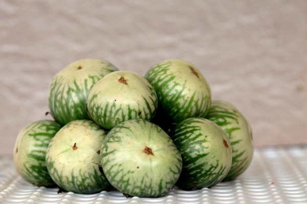 5 Sayur Lalapan Penurun Kolesterol, Murah Meriah dan Segar Rasanya