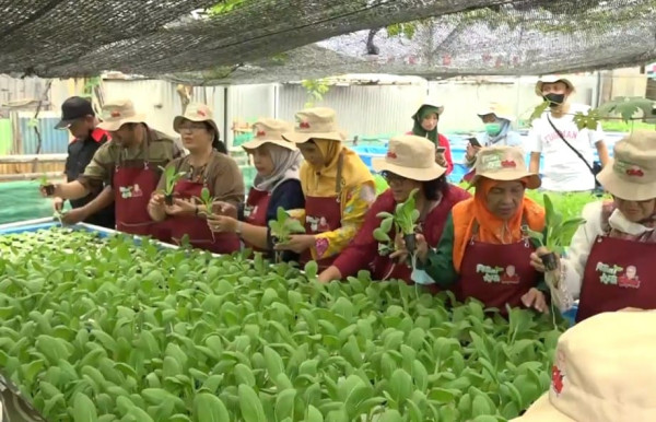 Orang Muda Ganjar Bareng 1.250 Petani se-Jakarta Jalankan Program Petani Kota OMG