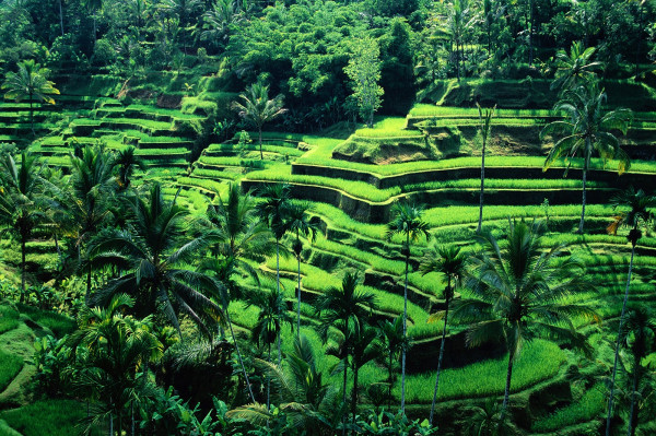 5 Rekomendasi Tempat Honeymoon Teromantis di Indonesia, Harganya Terjangkau