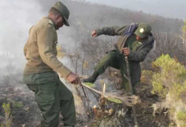 Gunung Kilimanjaro Terbakar, Dalam 24 Jam Kobaran Api Bisa Dijinakkan