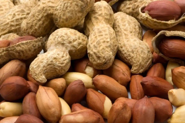 9 Rekomendasi Makanan Sehat untuk Penderita Diabetes, Wajib Dicoba!