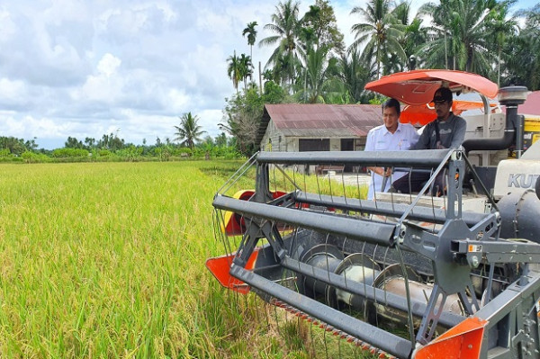 Bulog Sambut Baik Terbitnya Perpres tentang Cadangan Pangan Pemerintah