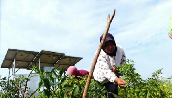 Pembangkit Listrik Tenaga Surya dan Asa Anak Petani Desa Ujung Selatan Pulau Jawa