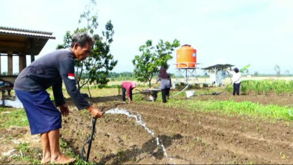 Pembangkit Listrik Tenaga Surya dan Asa Anak Petani Desa Ujung Selatan Pulau Jawa