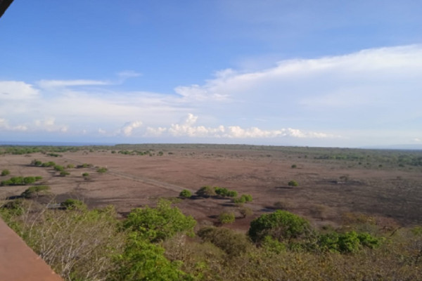 Sepotong Senja 'Afrika Kecil' di Kaki Gunung Baluran
