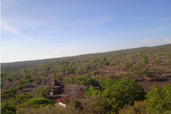 Sepotong Senja 'Afrika Kecil' di Kaki Gunung Baluran