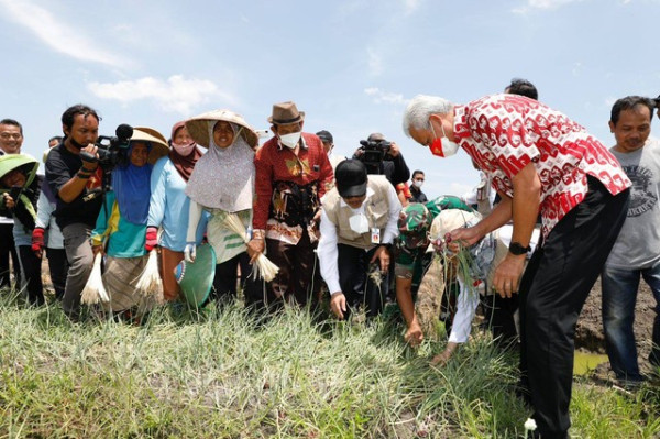 Perkuat Ketahanan Pangan, Ganjar Jamin Petani Dapat Akses Pupuk Subsidi