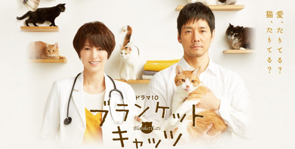 5 Drama Jepang yang Dibintangi Haruka Shimazaki