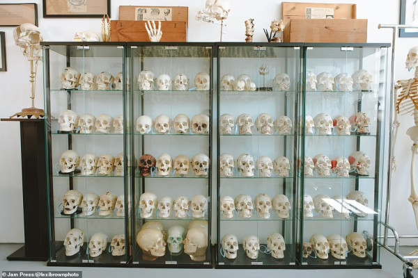 Museum Ratusan Tengkorak Manusia Bikin Geger Warga New York