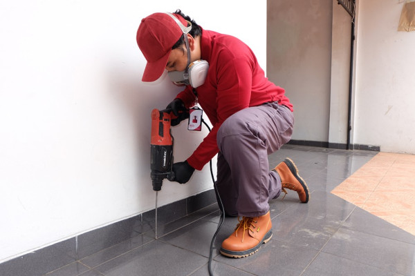 Butuh Jasa Anti Rayap Profesional di Jakarta? Hubungi FUMIDA 0822-1123-1123 / 0822-1177-1166