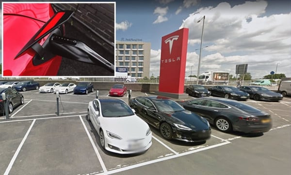 Mobil Tesla Ini Paling Cocok Mengaspal di Indonesia