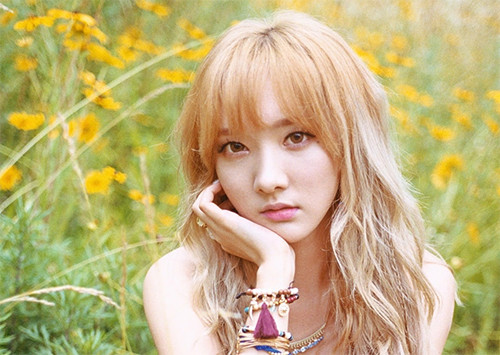 5 Bintang Korea yang Tinggalkan Kehidupan Artis dan Pilih Hidup Normal