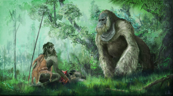 Ilmuwan Ungkap Jejak Orangutan Berukuran King Kong di Indonesia