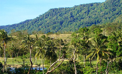 4 Destinasi Wisata Cantik di Sekitar Taman Nasional Ujung Kulon