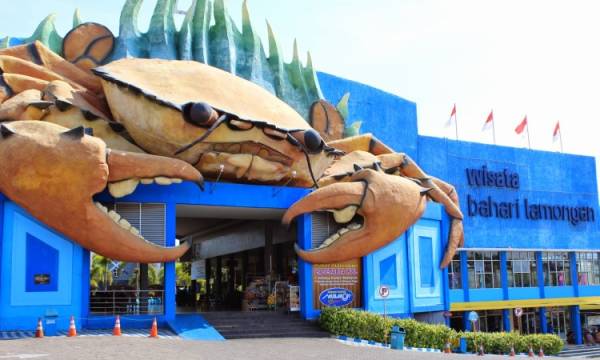 8 Kota di Indonesia dengan Janda Terbanyak, Penyebabnya Bikin Ngelus Dada