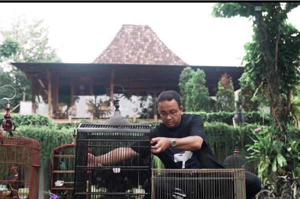4 Hewan Peliharaan Anies Baswedan, dari Ayam Jago hingga Kucing