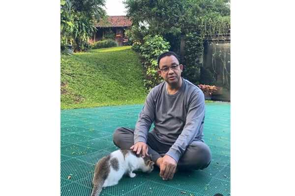 4 Hewan Peliharaan Anies Baswedan, dari Ayam Jago hingga Kucing
