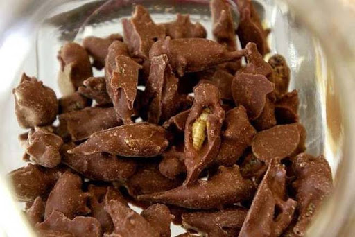 10 Dessert Paling Unik di Dunia, ada Serangga Berlumur Cokelat