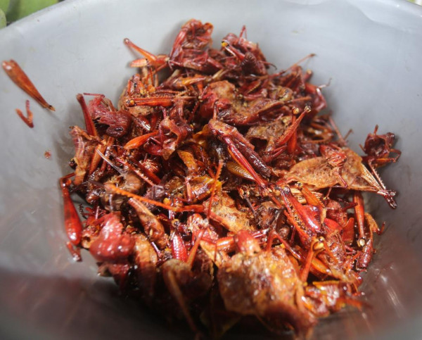 5 Rekomendasi Makanan Khas Gunungkidul yang Unik, Nomor 3 Bahan Bakunya Belalang