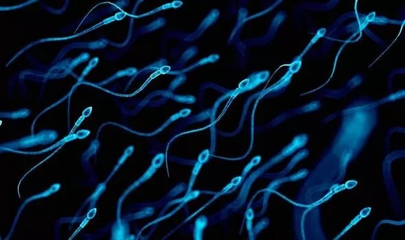 Penurunan Jumlah Sperma Ancam Kelangsungan Hidup Manusia