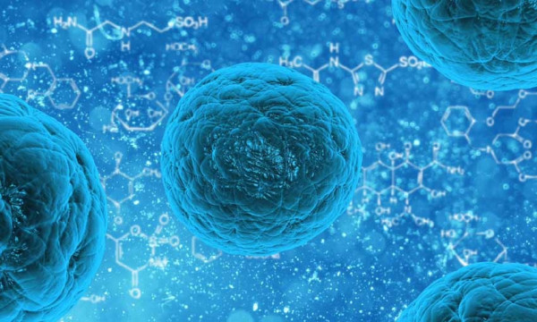 Ada 13 Virus Zombie Ditemukan di Permafrost Siberia, Hasil Penelitian Ilmuwan Bikin Lega