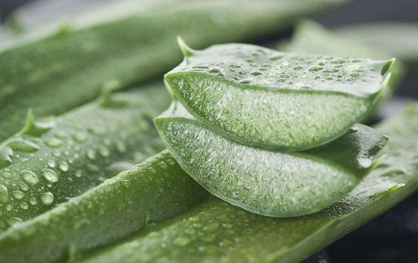 7 Herbal dan Suplemen untuk Diabetes Tipe 2, Wajib Stok di Rumah
