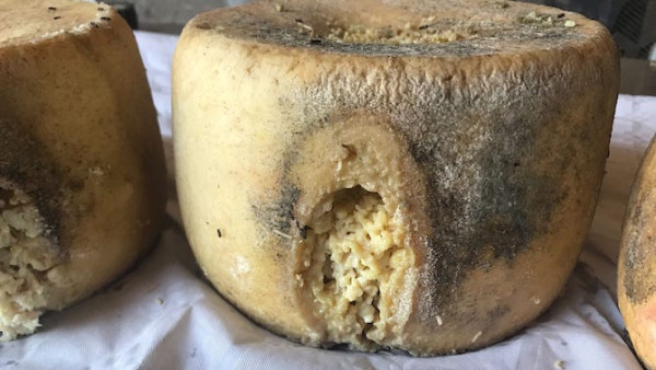 7 Makanan Paling Aneh di Dunia, Nomor 5 Dipenuhi Belatung Hidup