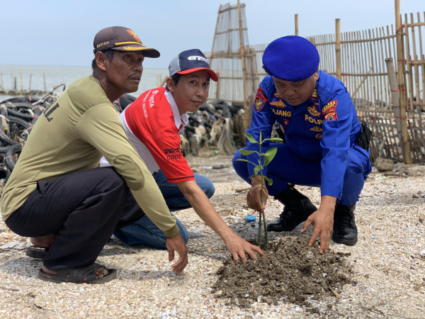 Rayakan Ulang Tahun, TOSCA dan Polairud Tanam 1.000 Mangrove