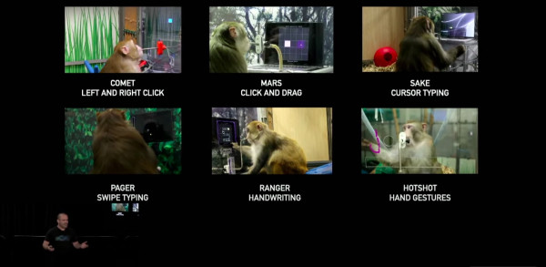 Chip Otak Neuralink Bikin Monyet Bisa Mengetik dengan Pikiran