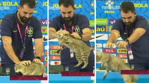 Vinicius Junior Tertawa saat Media Officer Lemparkan Kucing, Netizen: Semoga Brasil Tidak Juara!
