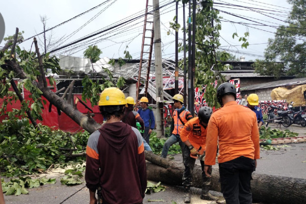 Diterpa Hujan Angin, Pohon Tumbang Timpa Rumah dan Mobil Warga di Bogor