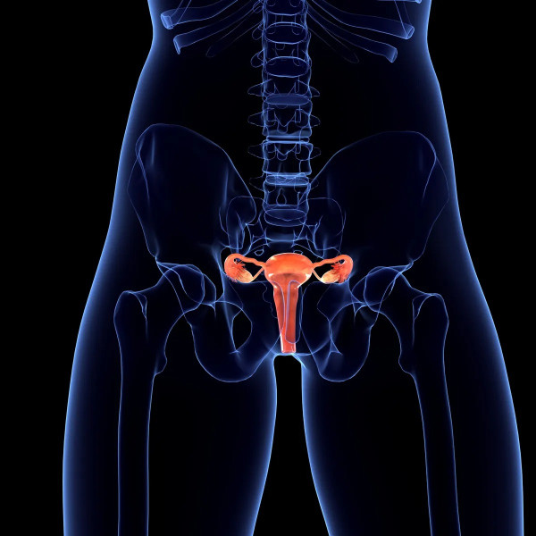 Cegah Keputihan, Ilmuwan Berhasil Kembangkan Chip Vagina