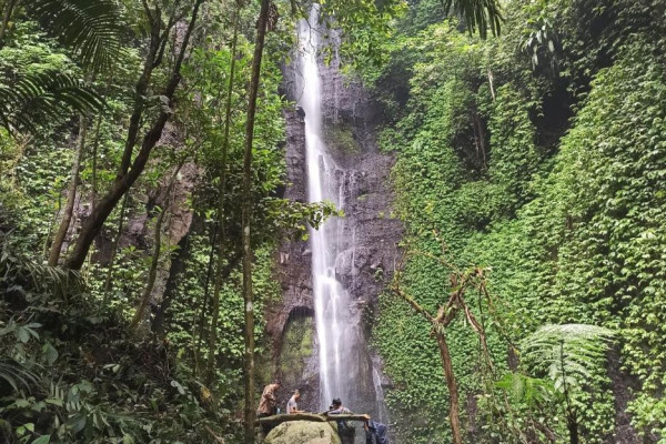 MNC Land-Balai Besar TN Gunung Gede Pangrango Kembangkan Lido Nature Park