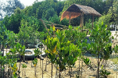 5 Rekomendasi Tempat Kencan di Medan, Suasananya Romantis