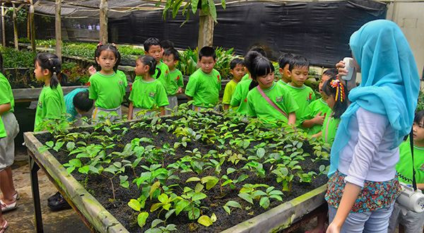 10 Tempat Healing di Jabodetabek, Nomor 4 Indah Banget Pemandangannya di Malam Hari