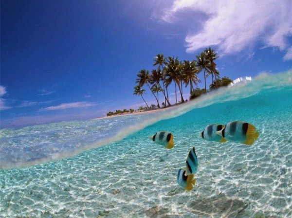 10 Rekomendasi Tempat Liburan di Sulawesi Utara, Nomor 8 Udara Pegunungannya Segar Banget
