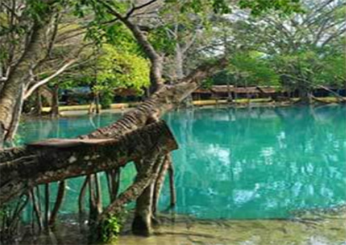 10 Rekomendasi Spot Liburan yang Memanjakan Mata di Sumatera Utara