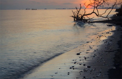7 Wisata Pantai di Semarang, Nomor 5 Unik Tak Memiliki Pasir