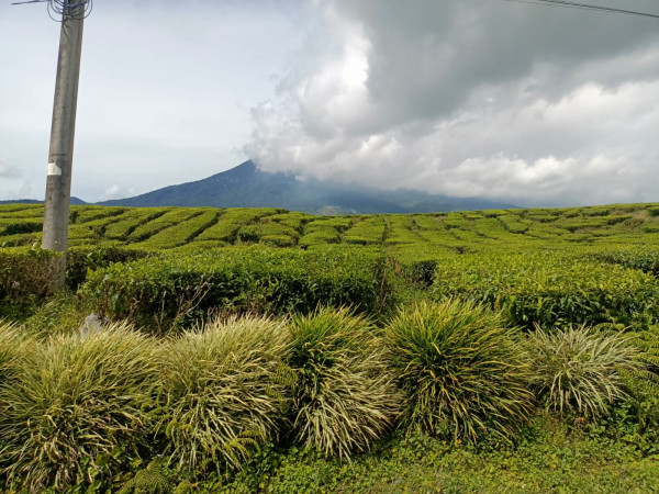 5 Surga Tersembunyi di Kaki Kerinci, Cocok buat Liburan Nataru Bersama Keluarga