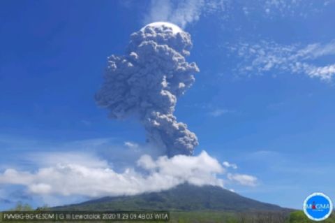 5 Gunung di Indonesia Meletus 2022, Semeru Paling Dahsyat