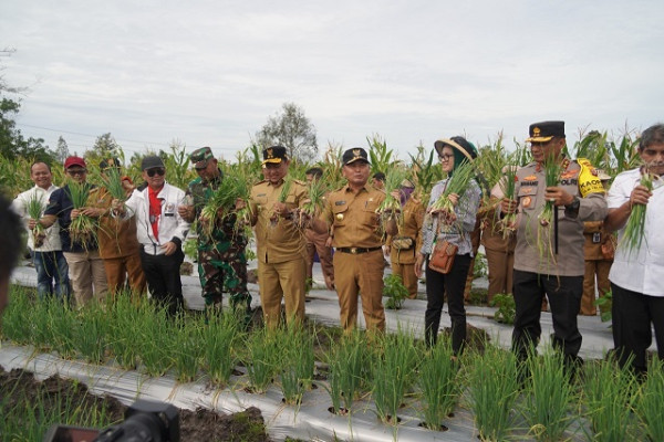 Panen Perdana Bawang Merah dan Cabai, Gubernur Sugianto Sabran: Kita Harus Bersinergi Membangun Ketahanan Pangan di Kalteng