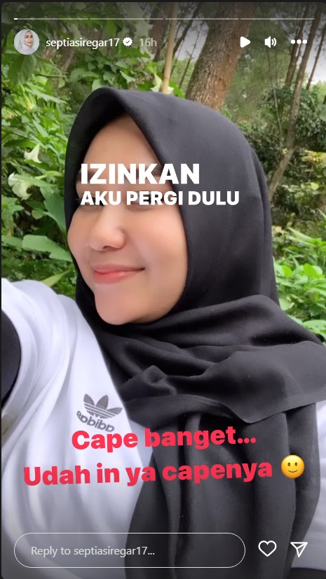 Penyebab Putra Siregar Cerai, Septia: Capek Banget!