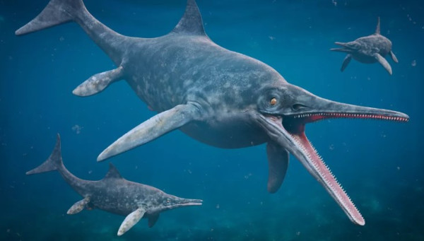 Ichthyosaurus, Monster Laut Purba yang Lebih Besar dari Ikan Paus